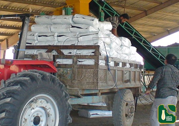 packing of forage corn 30 kilograms - arya sanat asrar