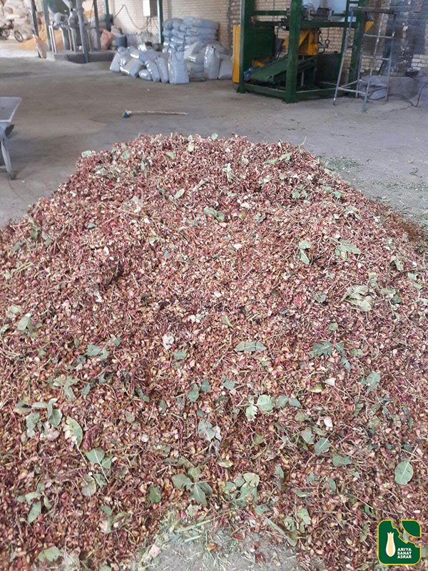 packing of pistachio shell - arya sanat asrar company
